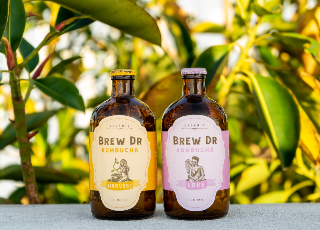 Brew Dr. Kombucha